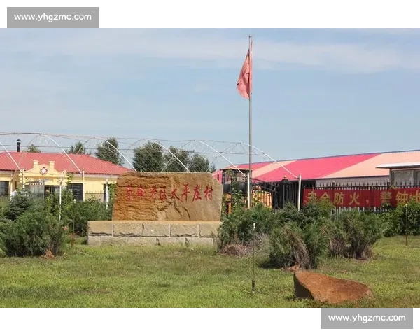 杨妞花用勤劳与智慧谱写新时代乡村振兴与女性创业奋斗赞歌