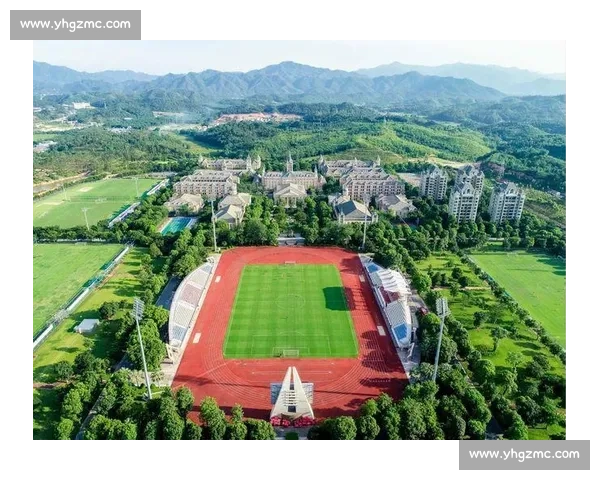 冠军之路，从娃娃抓起！乒乓球青训体系升级引发热议